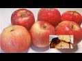 Яблучний Кекс 🍎 Мало тіста Багато Начинки