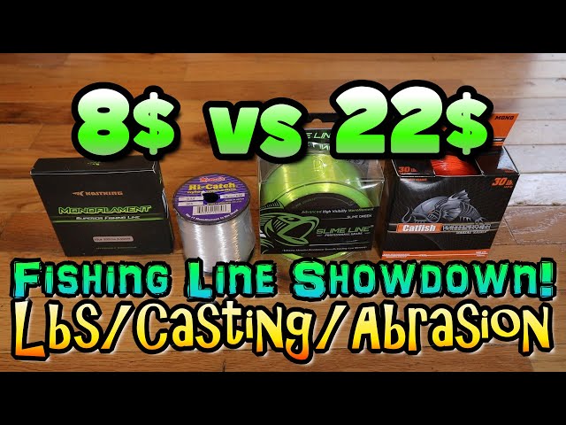 Line Showdown! Slime Line VS Whisker Seeker VS Momoi VS