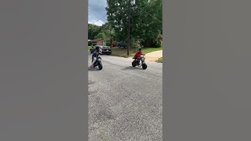 Predator 212 hemi vs predator 212 non-hemi