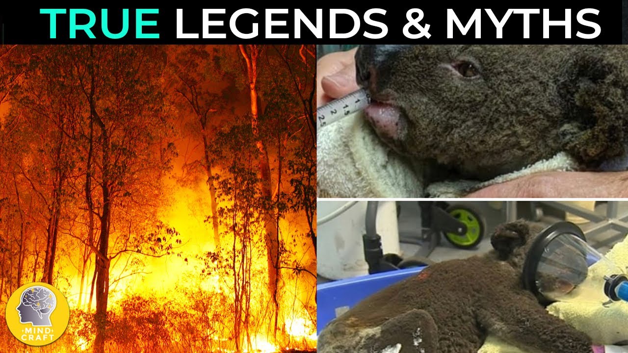 CRAZY MYTHS PROVEN TRUE!