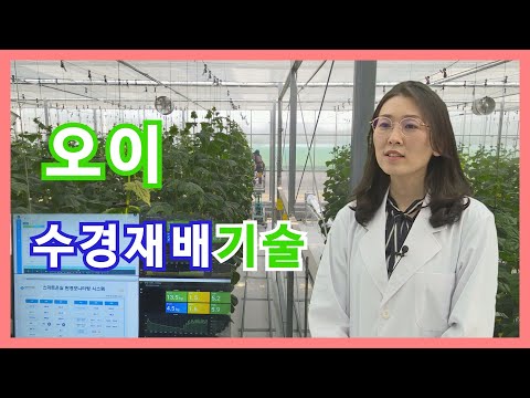 유튜브 미리보기