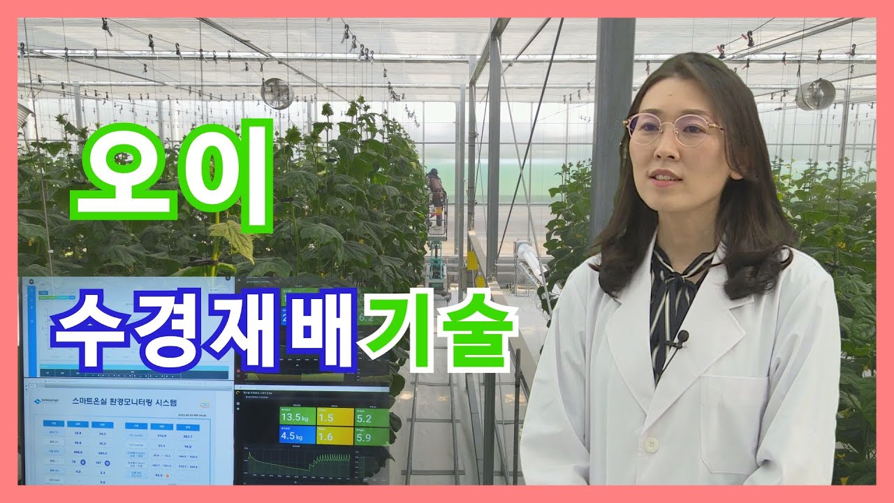 오이 수경재배기술