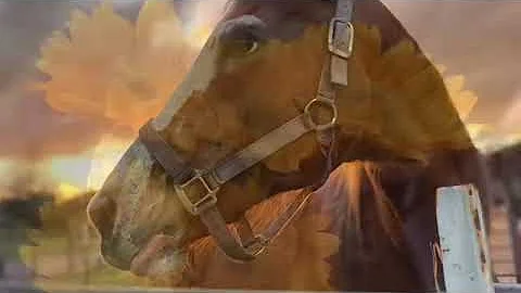 Original song by Walt Lamb ......Mackenzie song