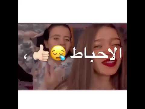 هدية لكل واحد سنغل مهرجان سنجل جنتل مصري
