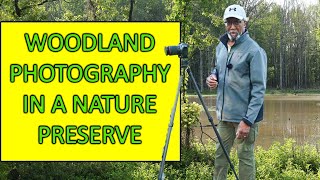 Finding Woodland Images In A Nature Preserve