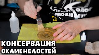 видео: Консервируем и склеиваем ОКАМЕНЕЛОСТИ | Обработка находок | Розыгрыш  картинка: Консервируем и склеиваем ОКАМЕНЕЛОСТИ | Обработка находок | Розыгрыш