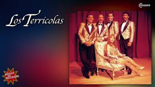 GRUPERAS INOLVIDABLES - LOS TERRICOLAS MIX