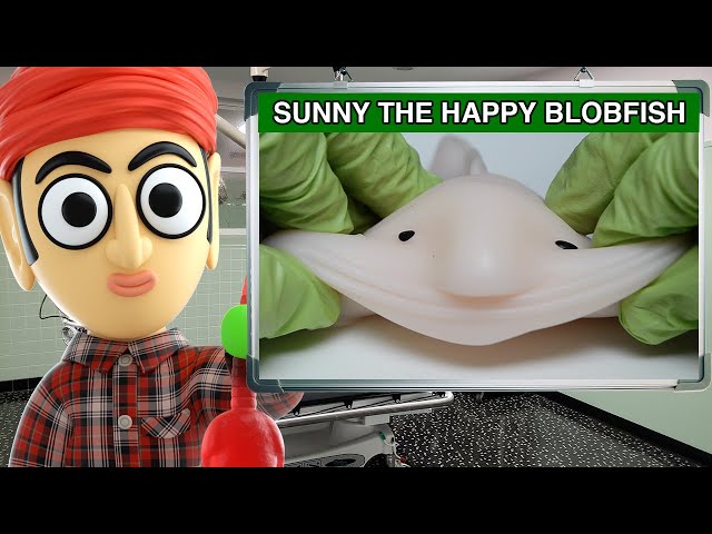 Sunny the Blobfish Stress Ball