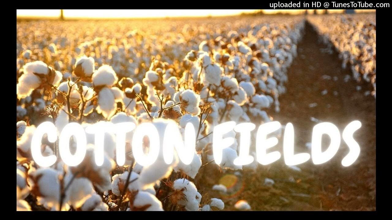 Cotton Fields CCR (Creedence Clearwater Revival) 🎷 Saxophone 🎷 색소폰
