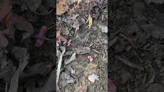 IMG 1030