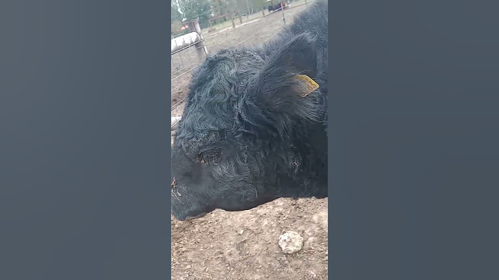 cómo ven a la gran diva de escandaloso amigos