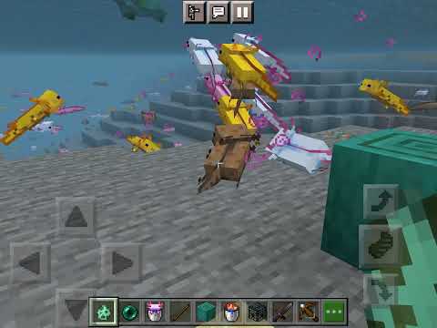 Can axolotl’s￼ kill mobs in Minecraft