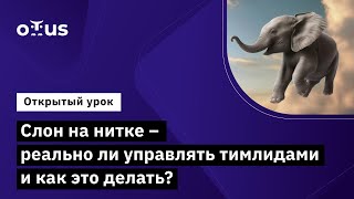 Слон На Нитке – Реально Ли Управлять Тимлидами И Как Это Делать? //  Курс «Delivery Manager»