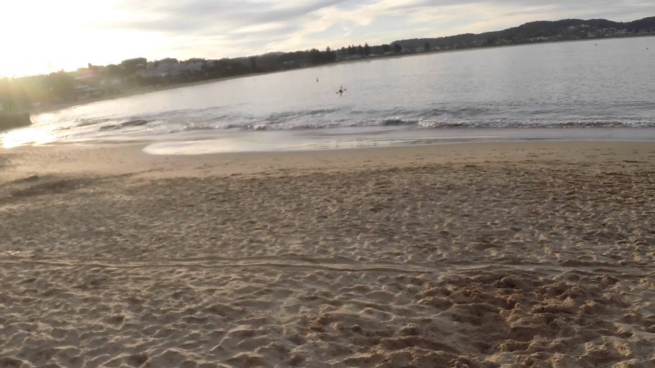 Efficiency Wasp - 7mm carbon micro quad