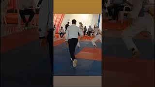 Back kick in the fight taekwondo hard shots kicking fight