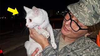 Cat Snuck Into a Military Base And Asked People For Help