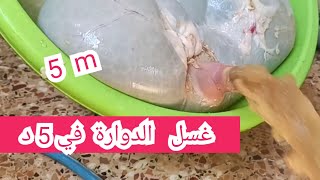 غسل الكرشة / الدوارة و الأمعاء دون فتحها