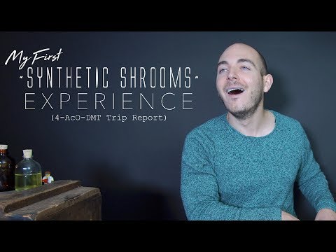 SYNTHETIC SHROOMS | “What is it & are they dangerous?”