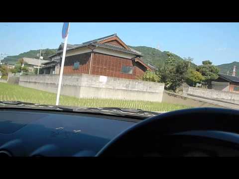 budget slivia 26134
