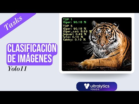 🔍 ¿Qué hay en esta imagen?  | Aplica Clasificación de imágenes con Ultralytics - YOLO11