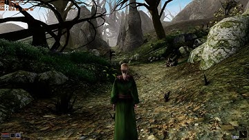 Morrowind MGE XE Max Setting In-Game Stats (Bransen Modpack)