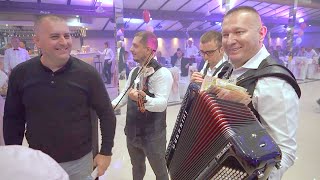 ROKI BEGOVIC / ZIVKICA / ORKESTAR KRALJEVI - HITOVI ZA SVA VREMENA