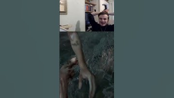 Beating Grounded + whole game Permadeath The Last of Us Part II