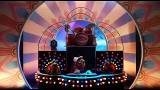 Animal playing drums after long abstinence