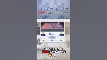 AI Predicts Disaster Ahead