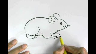 How to draw rodent rat or mouse in  easy steps for beginners