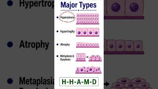 5 Cellular Adaptations Explained | MBBS Pathology