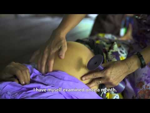 EU Support And Cooperation In Myanmar 2013