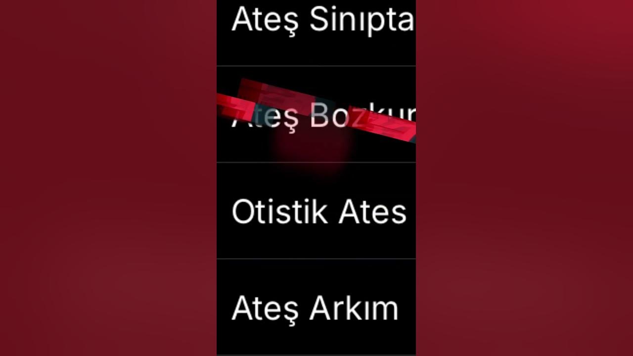 2-si-san-r-m-ate-best-friend-demek-oluyor-youtube