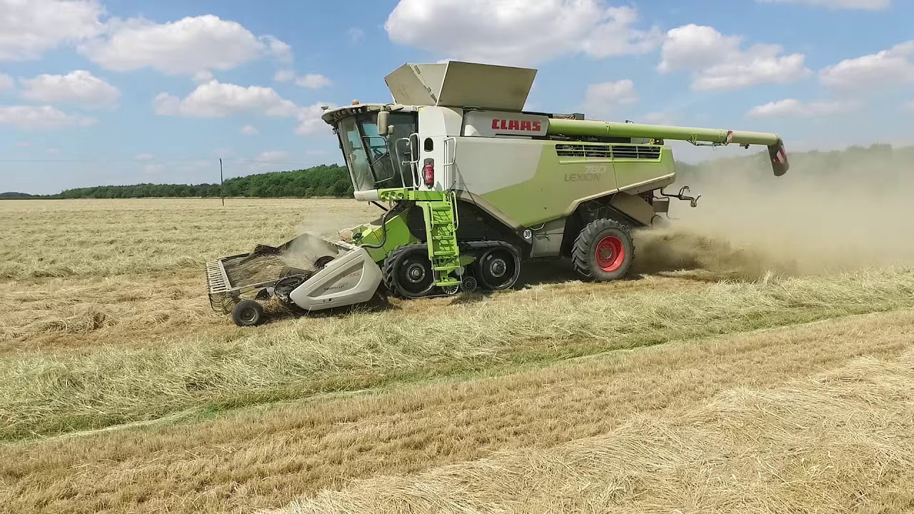 Macdon PW8 pickup and Claas Lexion, Grass Seed Harvest UK YouTube