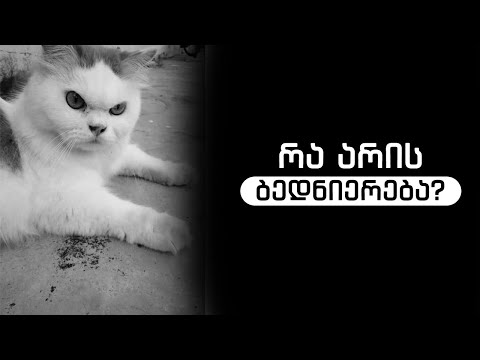 რა არის ბედნიერება?