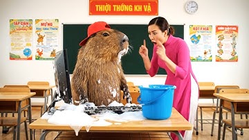 Capy đi học ngày đầu tiên và cái kết #capybara