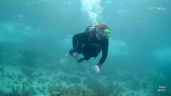 Scuba Diving Bonaire