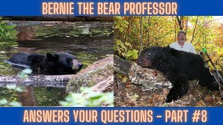 Your Bear Hunting questions answered #8 by BowhuntingRoad 1,464 views 3 months ago 14 minutes, 41 seconds