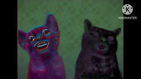 Preview 2 Numa Cat Effects Vs Preview 2 Numa Cat Opposite Effects