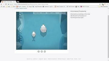 Lumosity - River Ranger - 53660 Score - Brain Games - 2017