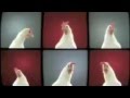 Get Lucky Daft Punk Feat. Pharrell Williams & CHICKEN PARODY 2013