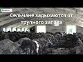 В Алматинской области сельчане задыхаются от трупного запаха