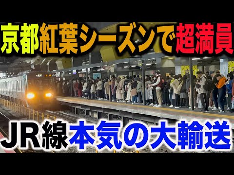 【混みすぎて特急が臨時停車！？】紅葉シーズン&amp;インバウンドで大混雑しているJR嵯峨野線の本気が凄すぎた！！臨時列車を大増発！！！