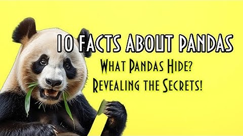 10 Fascinating Facts About Pandas. Facts About Animals