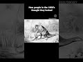 Dinosaurs used to look a lot... weirder