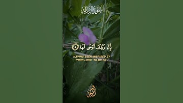 Surat Az Zalzalah( The Earthquake ) | Anees Ul Haq voice | سورة الزلزلة | #surahazzalzalah