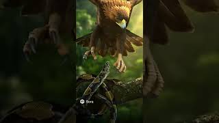 Eagle vs Snake: Deadly Mid-Air Attack | Realistic Wildlife Moment