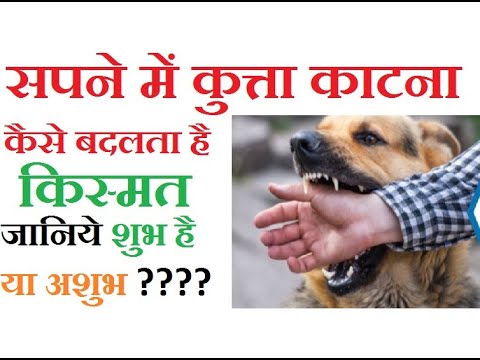 वीडियो: पिल्ला का क्या मतलब होता है?