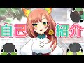 【自己紹介】はじめまして、二次元のきょったんですよ【新人Vtuber】