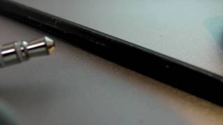 Sanyo Xacti HD1010 Macro Demo